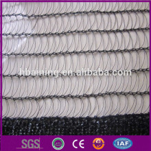 agriculture plastic anti hail net/vineyard use anti hail netting/hale net