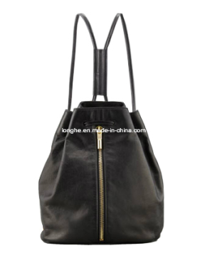 2013 Fashion Trends Handbag (ZE138)