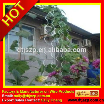 Tomato Spiral wire