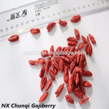 Ningxia Dried gouqizi/gojiberries in bulk