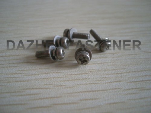 pan head PH machine screw with spring washer and flat washer SS