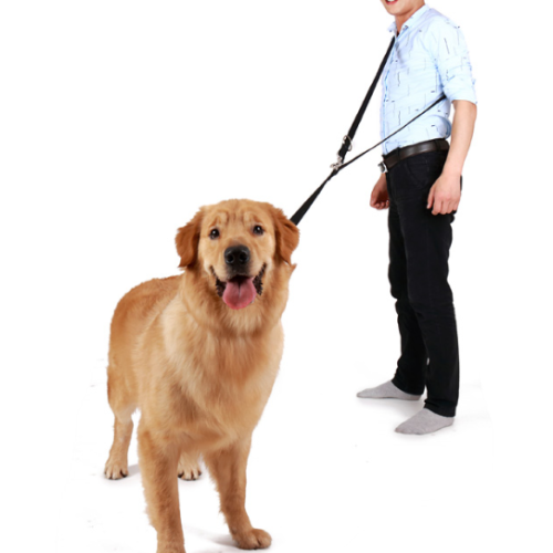 Nylon mains mains libres chien de formation de chien