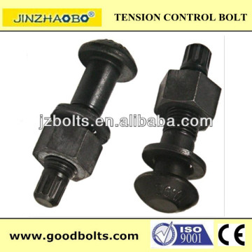 High strength torsion shear bolts