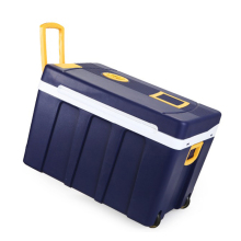 50L Thermo-Electric Cool Box with Wheels: 12V/230V Mini Fridge for Car, Boat, Camping