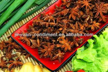 Top quality whole Star anise Seeds