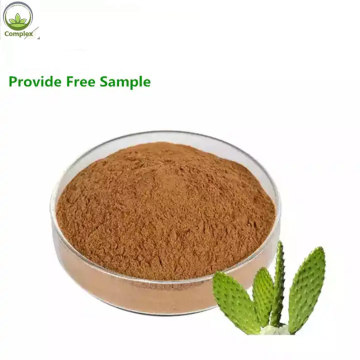 Natural Cactus Extract/Opuntia Extract/Cholla Stem Extract