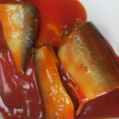 Makrelenfisch in Dosen in Tomatensauce mit Öl