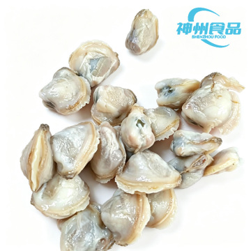 Vongole vive depurate e carne di vongole congelata pulita