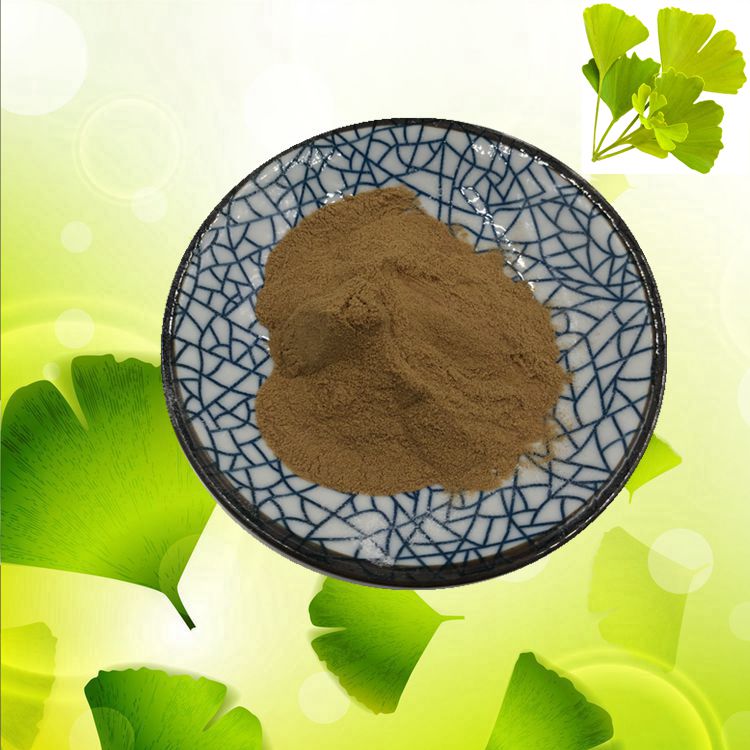 Ginkgo Biloba Extract Jpg