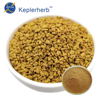 Fenugreek Seed Extract Powder