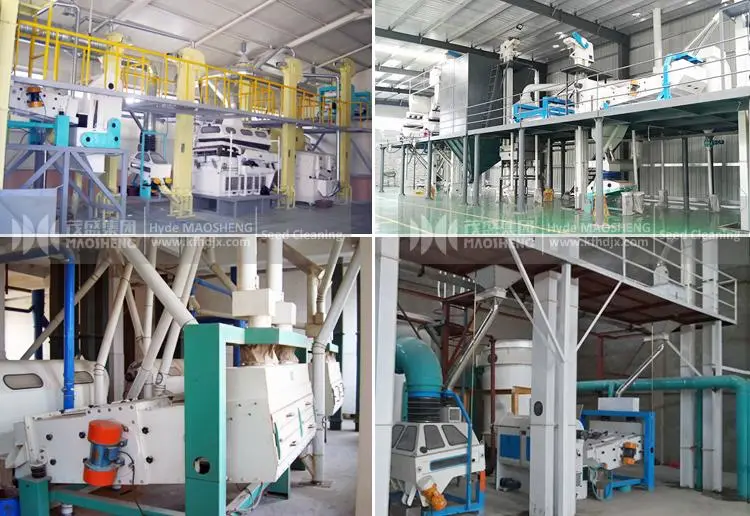 Millet Quinoa Pulses Sesame Cumin Seed Grain Cleaning Grading Machine