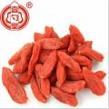 Diet Berry Red Berries Ningxia Goji Berry