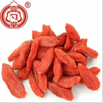 Lycium 과일 말린 Goji 장과 (대중적인 크기 380