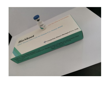 Rabies Human Immunization Schedule