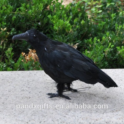 standing crow