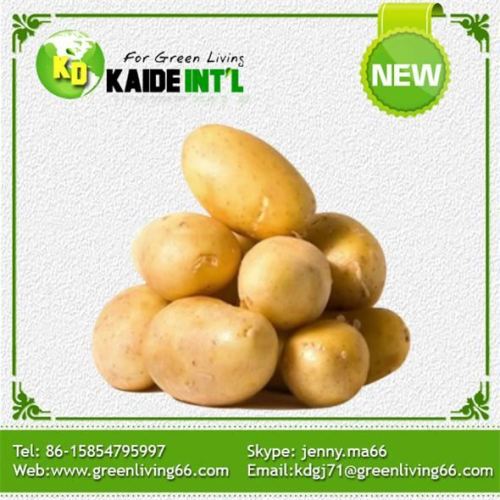 Taze sarı yeni ürün patates 100g