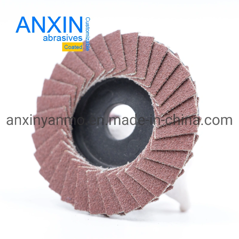 Mini Flap Disc with 9.5mm Hole