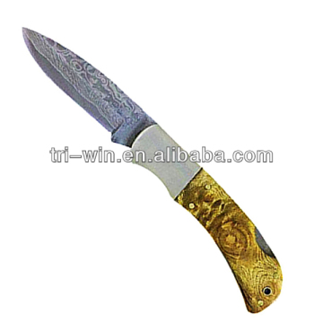 Custom Ppocket Knife