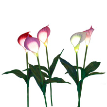 Outdoor Landscape  Calla Lights