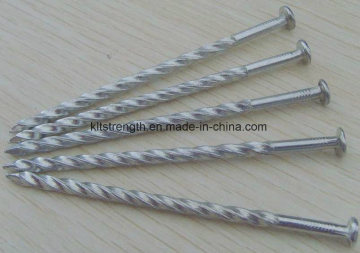 Good Quality Twisted Shank Pallet Nails/Electro Galvanized Twisted Nails
