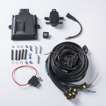 MP48 Lovato CNG 4 Cylinder Car Conversion Kit with ECU System