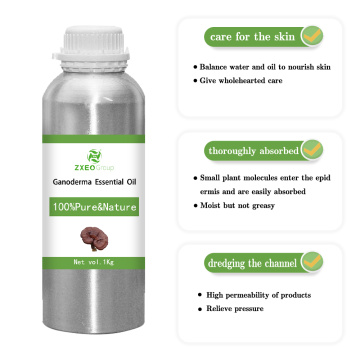 100% puro y natural ganoderma aceite esencial Aceite esencial de bluk de alta calidad para compradores globales el mejor precio