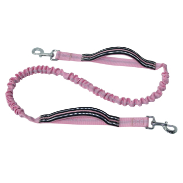 Eco-Friendly Dog Leash with heavy duty hook