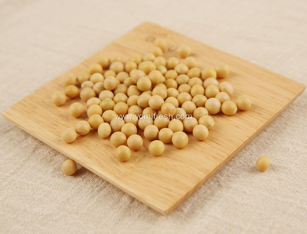 Soybean 25KG