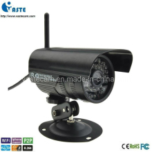 Outdoor Water Resistant Security IP Camera, Digital Network Camera (VT-I31W)