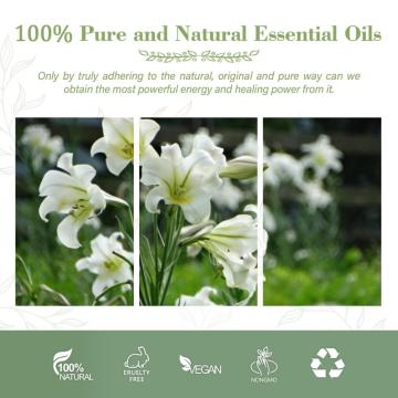 Smooth Massage Oil Pure Oil Lily Essential Oil For Skin Care