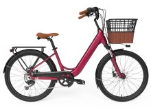 Lady Enduro Ebike With Basket