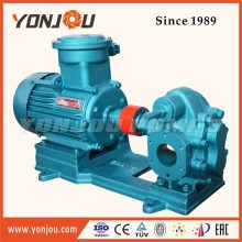 Yonjou Double Gear Pump