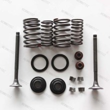 GY6 Moped Scooter 49cc 50cc 139QMB New Valve Sets(69.5mm)