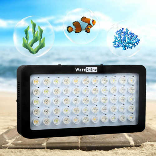 100W LED Grow Lights for Coral Reef Fish