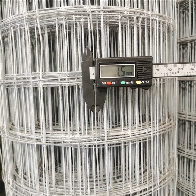 YQ Galvanized Welded Wire Mesh for Agriculture or Bird Cage for Protection Construction