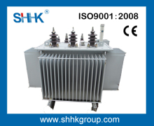 3 Phase Oil Immersed Power Transformer (ONAN)