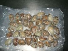 Frozen Boiled Baby Clam IVP