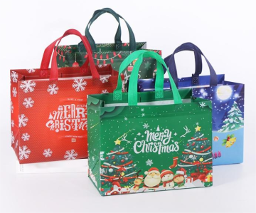 Christmas Gift Bag Recyclable