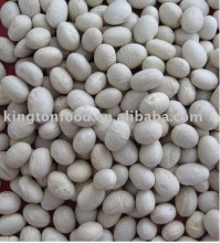 white beans round shape