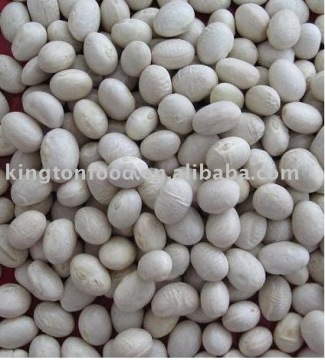 white beans round shape