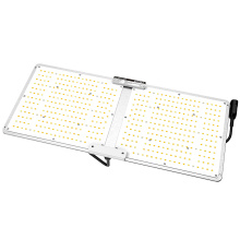 Best LED Grow Light for Greenhouses Agricultural