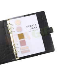 Translucent Sticky Note Dashboard Pads for Planner Journals