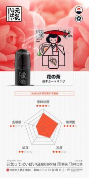 E-cigarette Vaporizer vaping vape Cartridge smoke shop