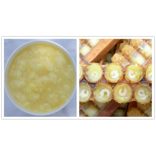 ISO Factory Supply Best Royal Jelly