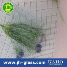 wired mesh glass