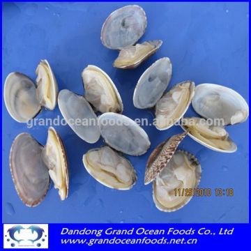 Frozen cooked white clams