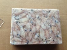 high quality BQF baby squid