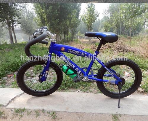 free style of student bicycle 20"