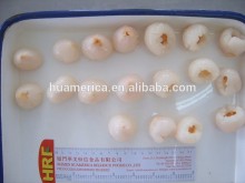 567g canned lychee/lichi in light syrup