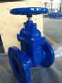 BS5163 Resilient Seated Gate Valve